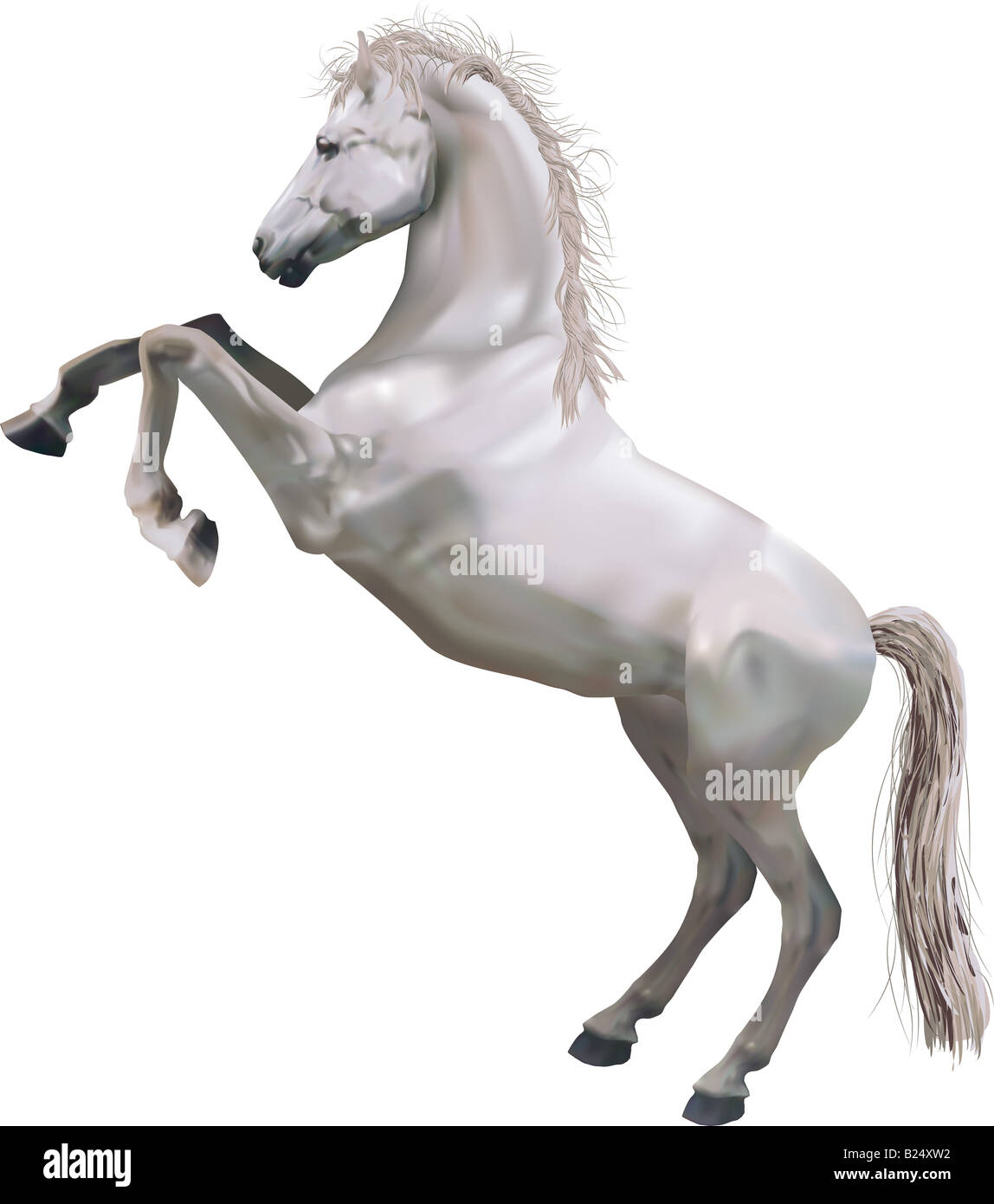 Rearing Horse. A photorealistic illustration of a horse rearing up on its hind legs. Stock Photo