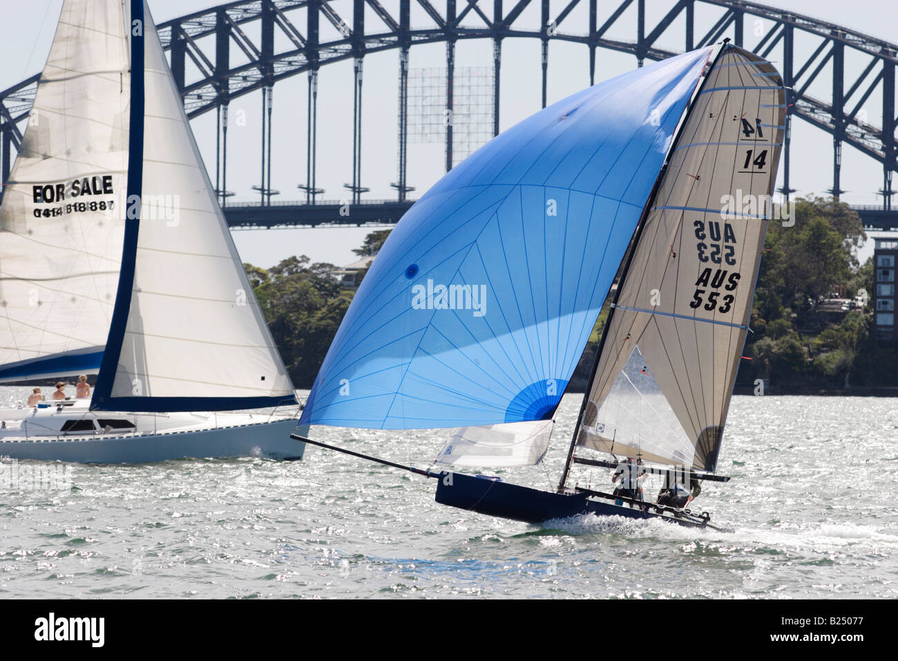 14 Foot Sailing Regetta Sydney Harbour New South Wales Australia Stock Photo