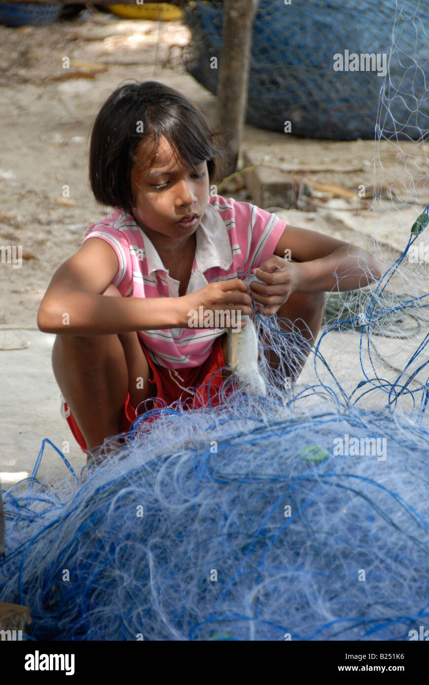 cleaning fishing nets of freshly caught blue crabs, pig island(koh sukorn) , trang province
