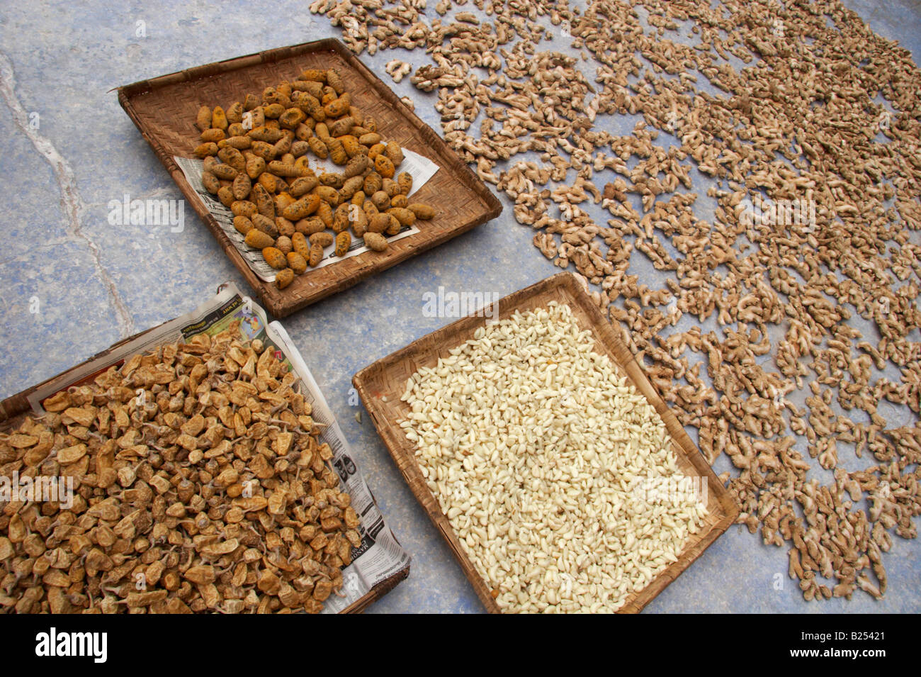Chilli peppers garlic cloves tamarind and root ginger drying on ground
