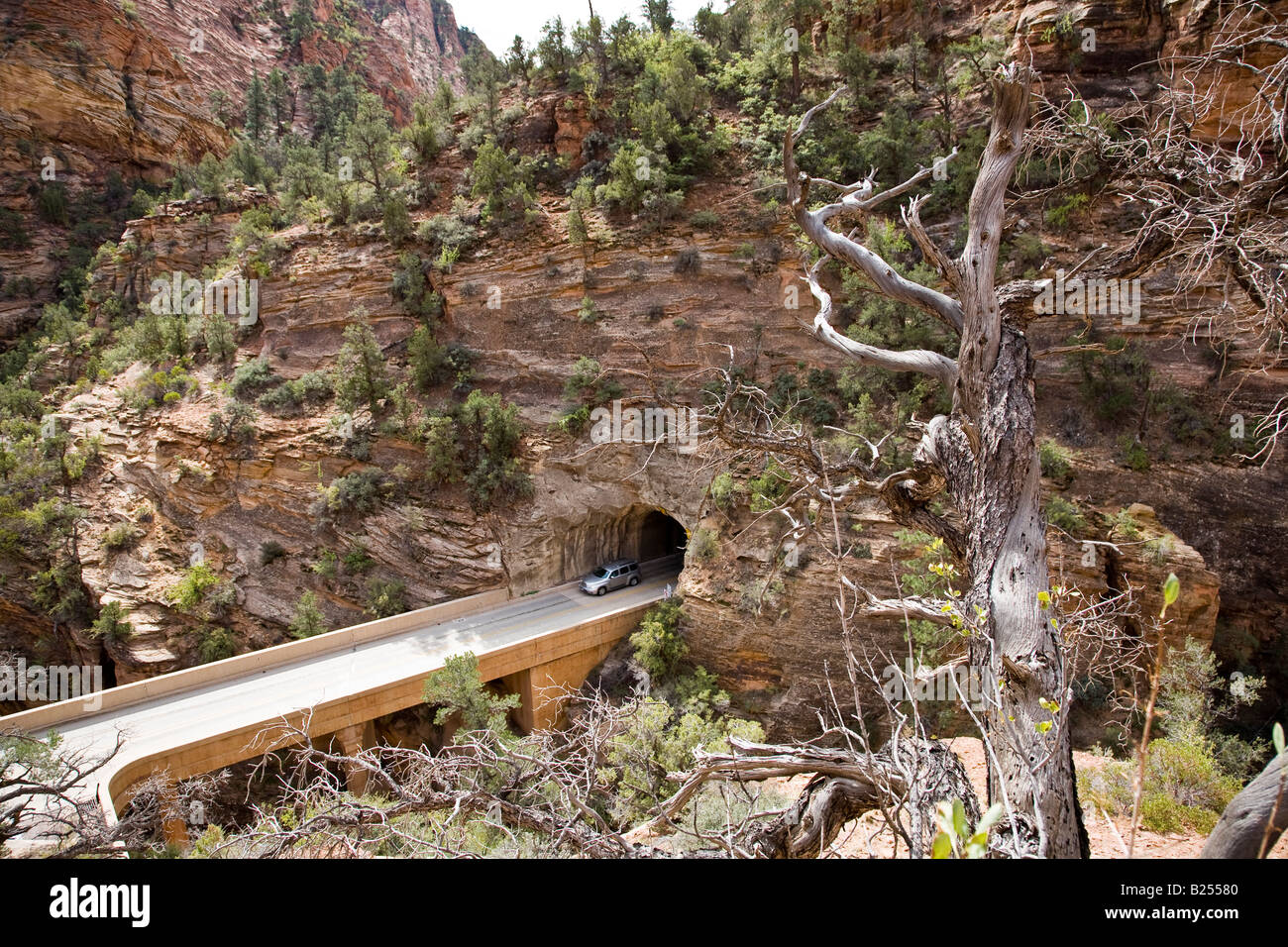 Zion Mountain Carmel tunnel in Zion National Park, Utah, USA Stock ...