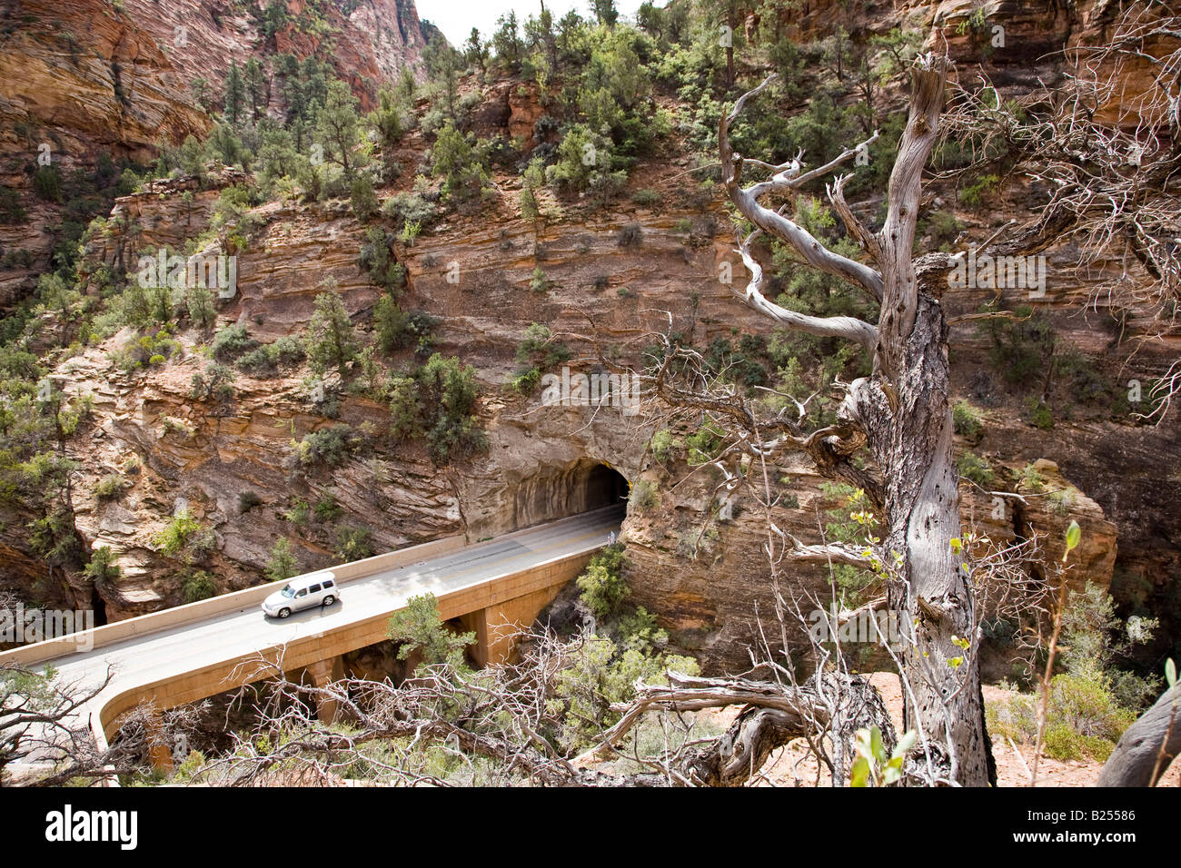 Zion Mountain Carmel tunnel in Zion National Park, Utah, USA Stock