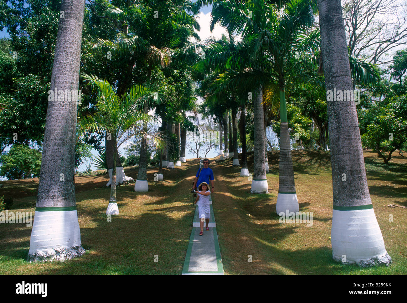 Scarborough Tobago Botanical Gardens Father and Daughter Base of Trees