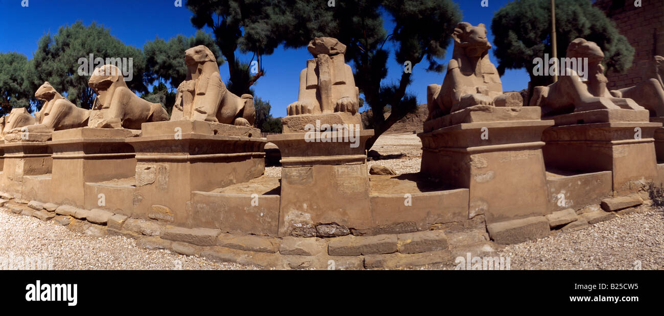 Karnak Temple Complex Egypt  Avenue of Ram-Headed Sphinxes the Ram Symbolizing Egyptian God Amun Protecting the Royal Effigies of Rameses II in the fo Stock Photo