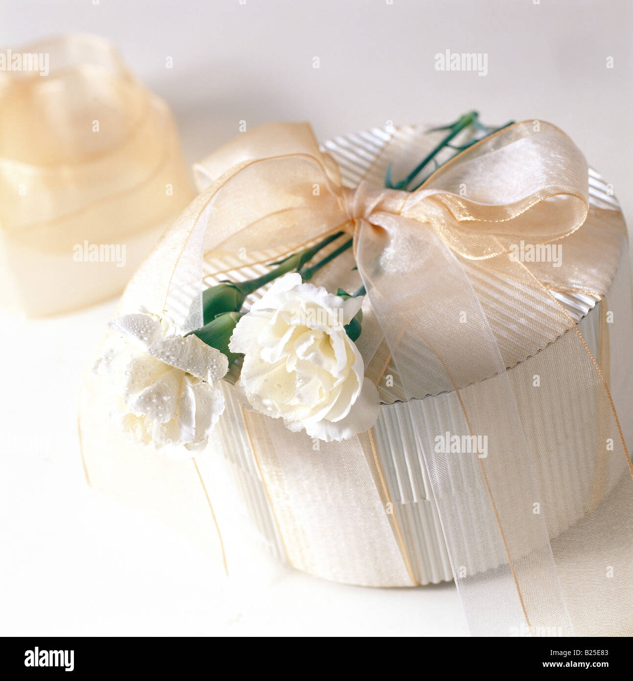 Gift box and flower Stock Photo Alamy