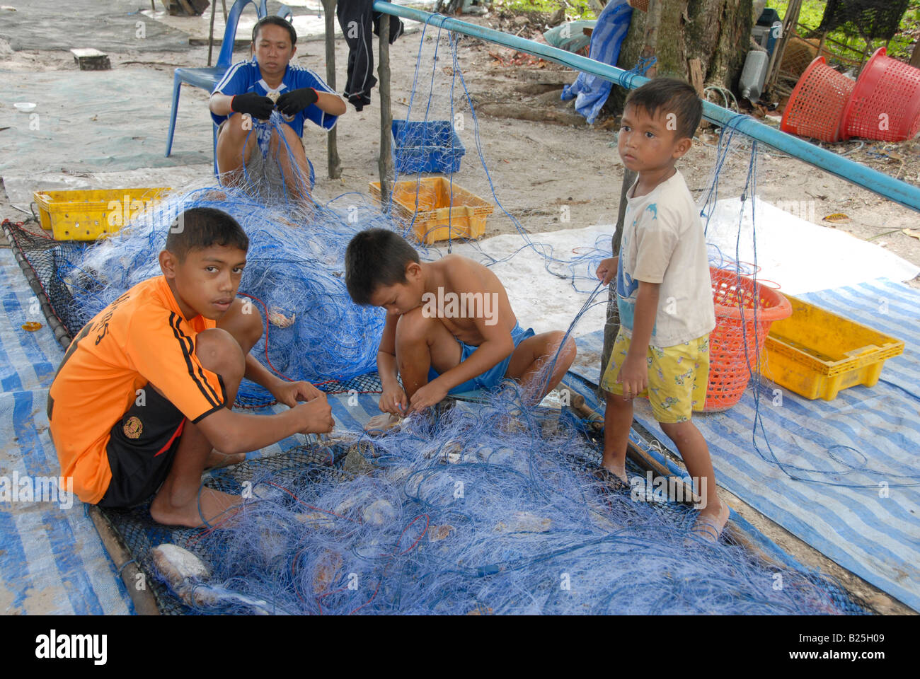 cleaning fishing nets of freshly caught blue crabs, pig island(koh sukorn) , trang province
