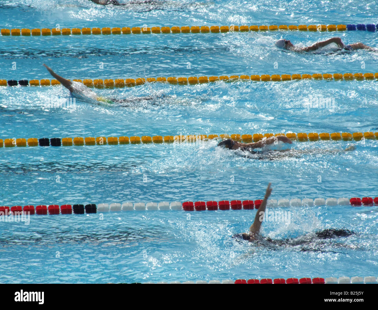 female swimmers in olympic pool in rome, italy Stock Photo - Alamy