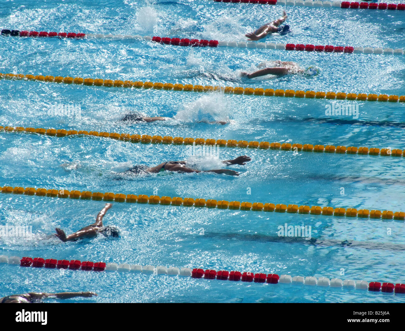 female swimmers in olympic pool in rome, italy Stock Photo - Alamy