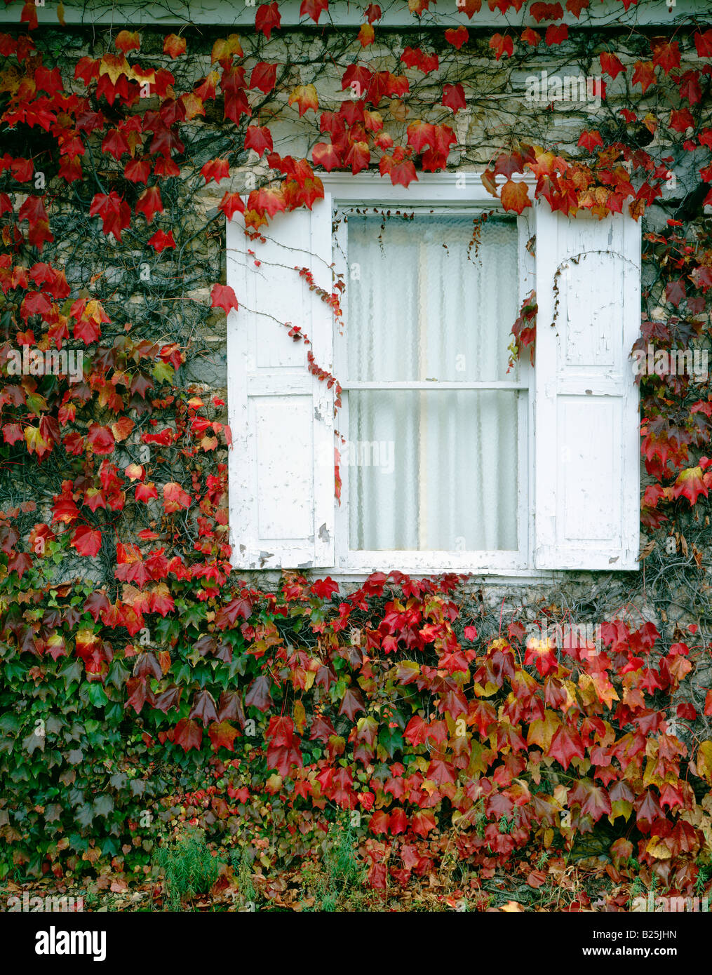 Autumn colors in the ivy asbury united methodist church rt 30 west