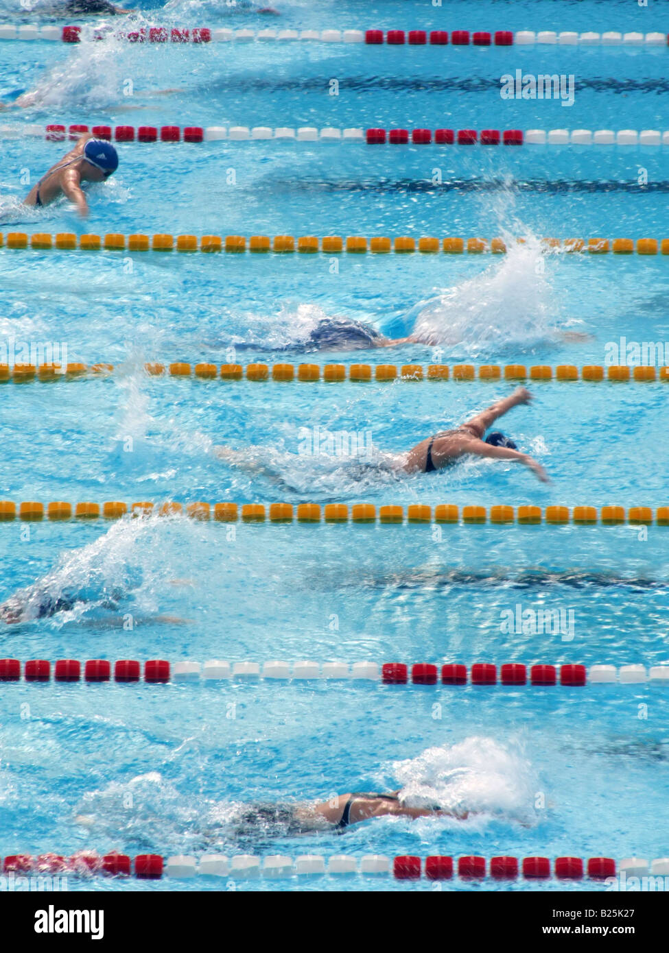 female swimmers in olympic pool in rome, italy Stock Photo - Alamy