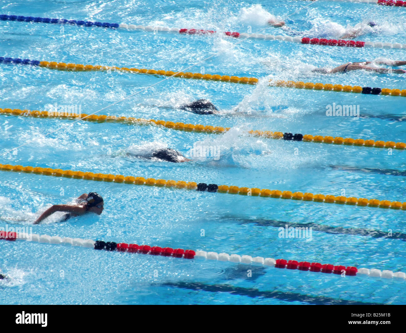 female swimmers in olympic pool in rome, italy Stock Photo - Alamy