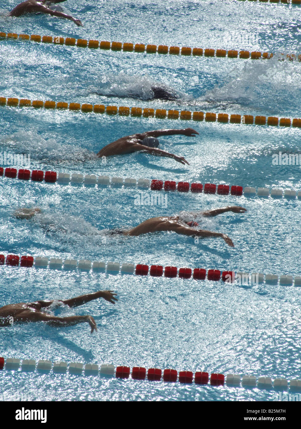 male swimmers in olympic pool in rome, italy Stock Photo - Alamy