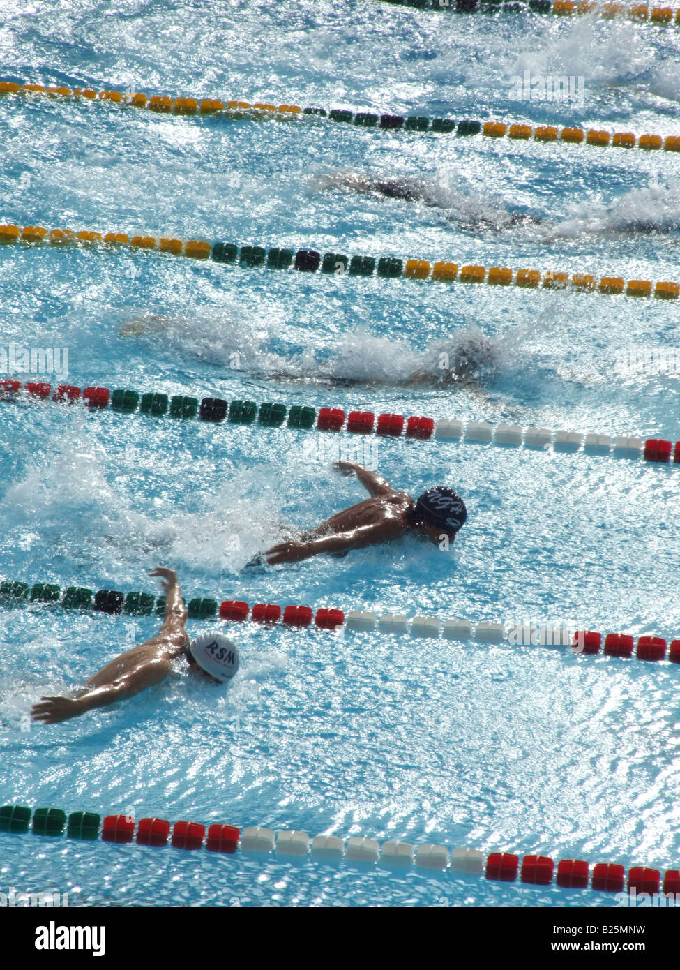 male swimmers in olympic pool in rome, italy Stock Photo - Alamy