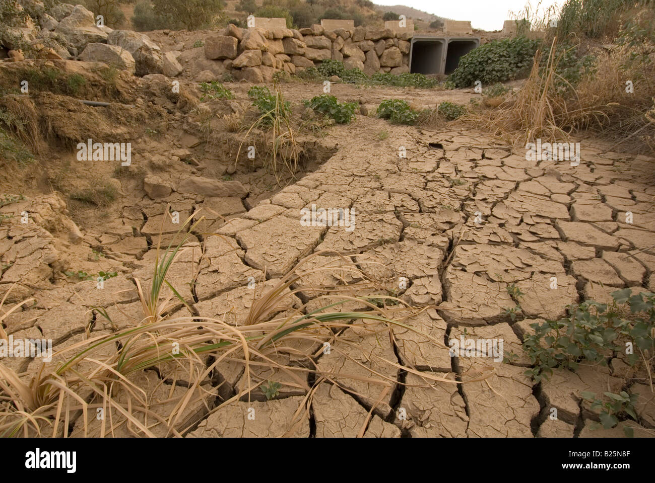 dried up river bed in Andalusia, Spain Stock Photo