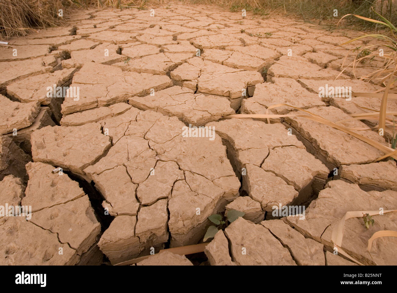 dried up river bed in Andalusia, Spain Stock Photo