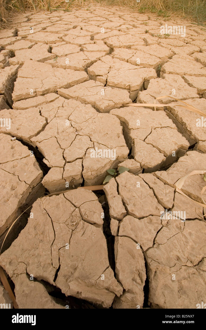 dried up river bed in Andalusia, Spain Stock Photo