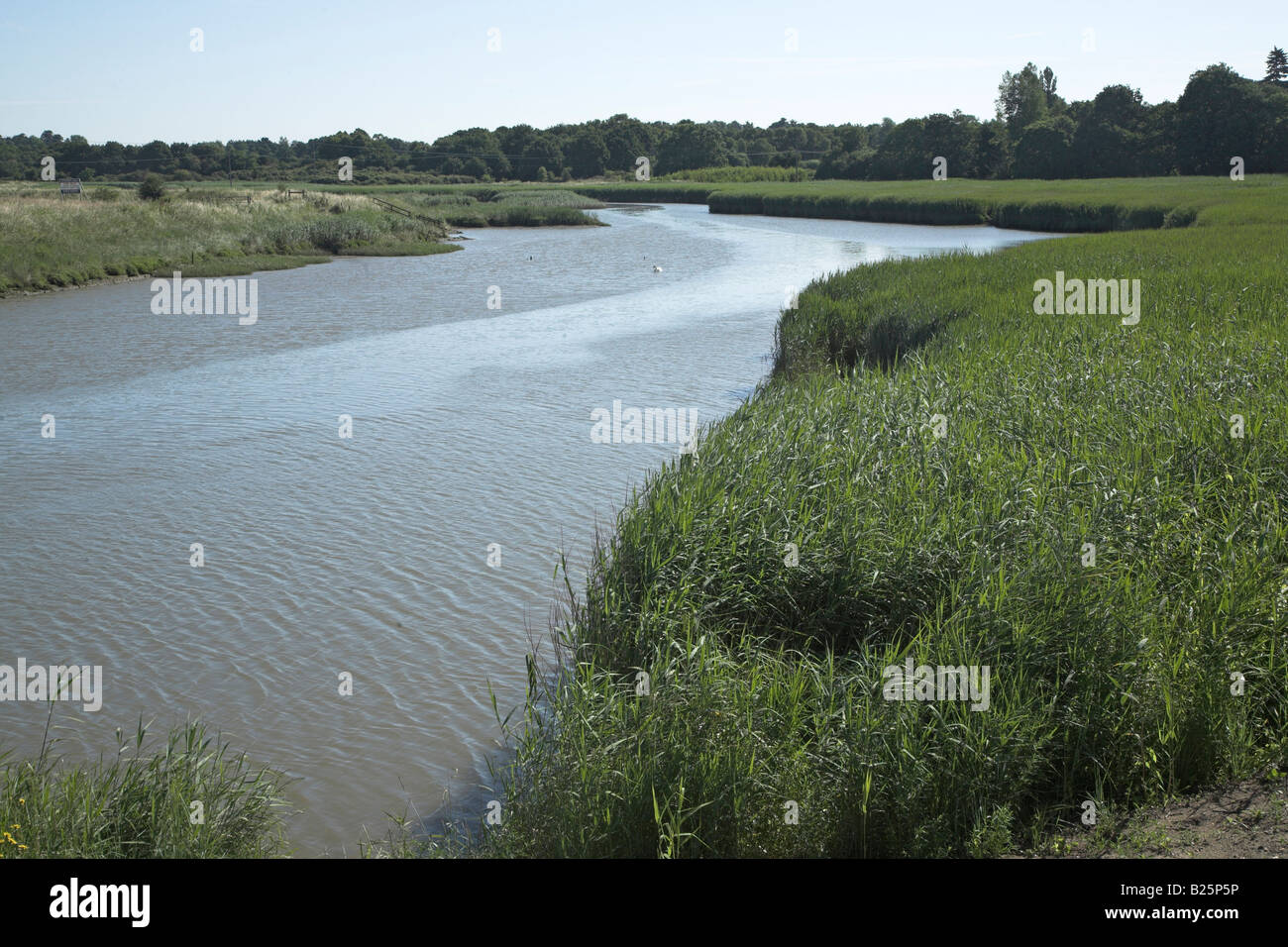 Tidal river Deben north of Wilford Bridge, Suffolk, England Stock Photo