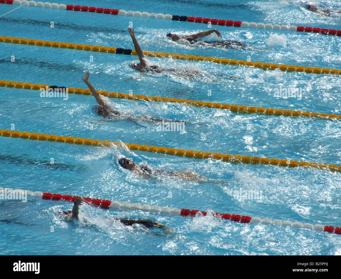 female swimmers in olympic pool in rome, italy Stock Photo - Alamy