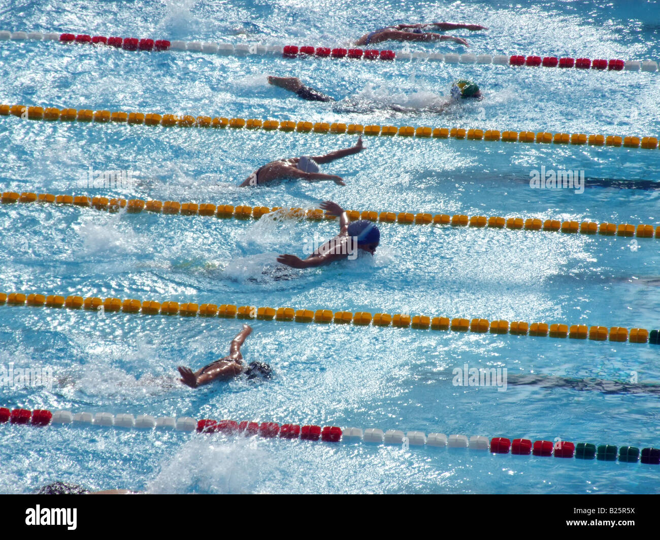 female swimmers in olympic pool in rome, italy Stock Photo - Alamy