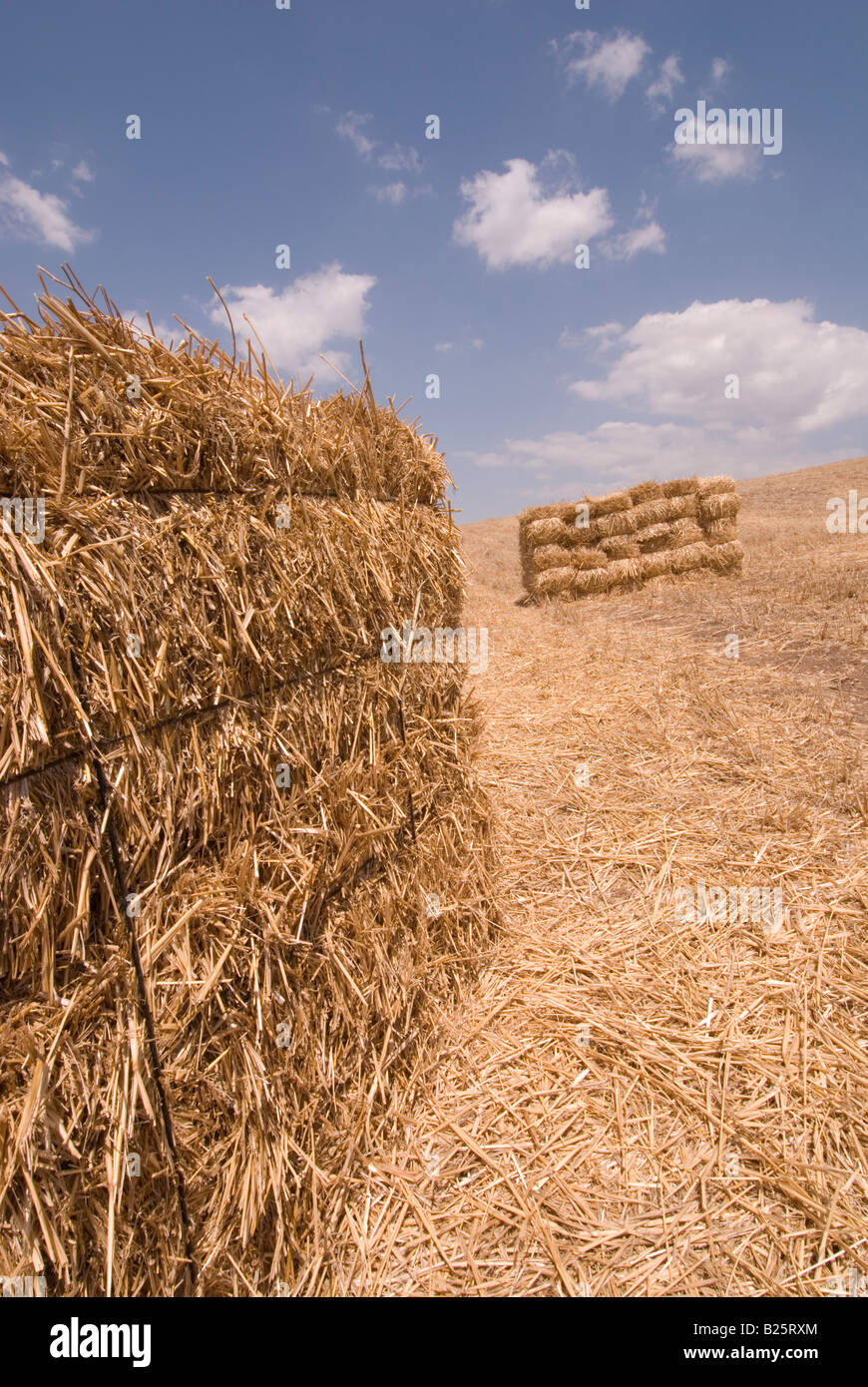 Straw harvested in Andalusia, Spain Stock Photo