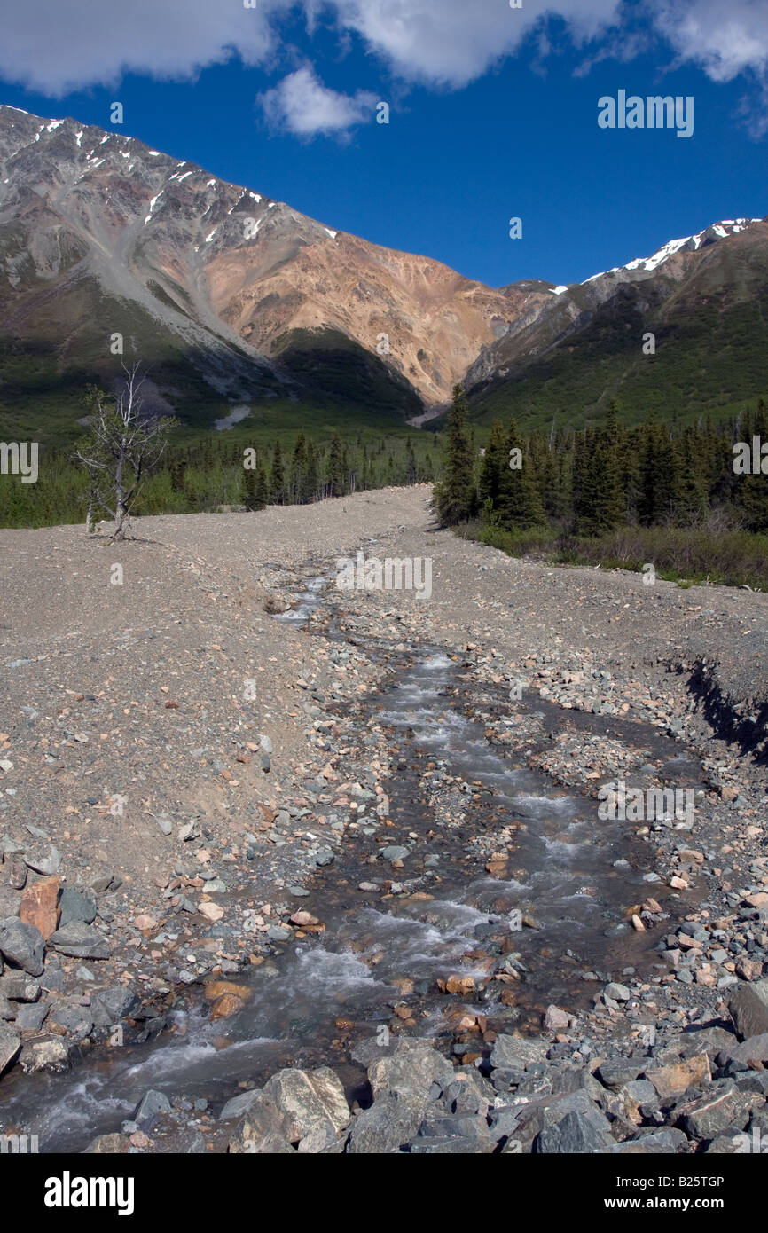 River running in a bed of gravel, down a tree covered mountain valley from an Alaskan mountain range. Stock Photo
