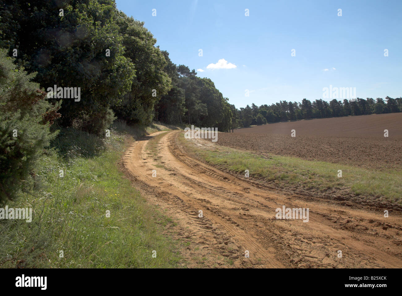 Sandy farm track and field near sutton hires stock photography and images Alamy