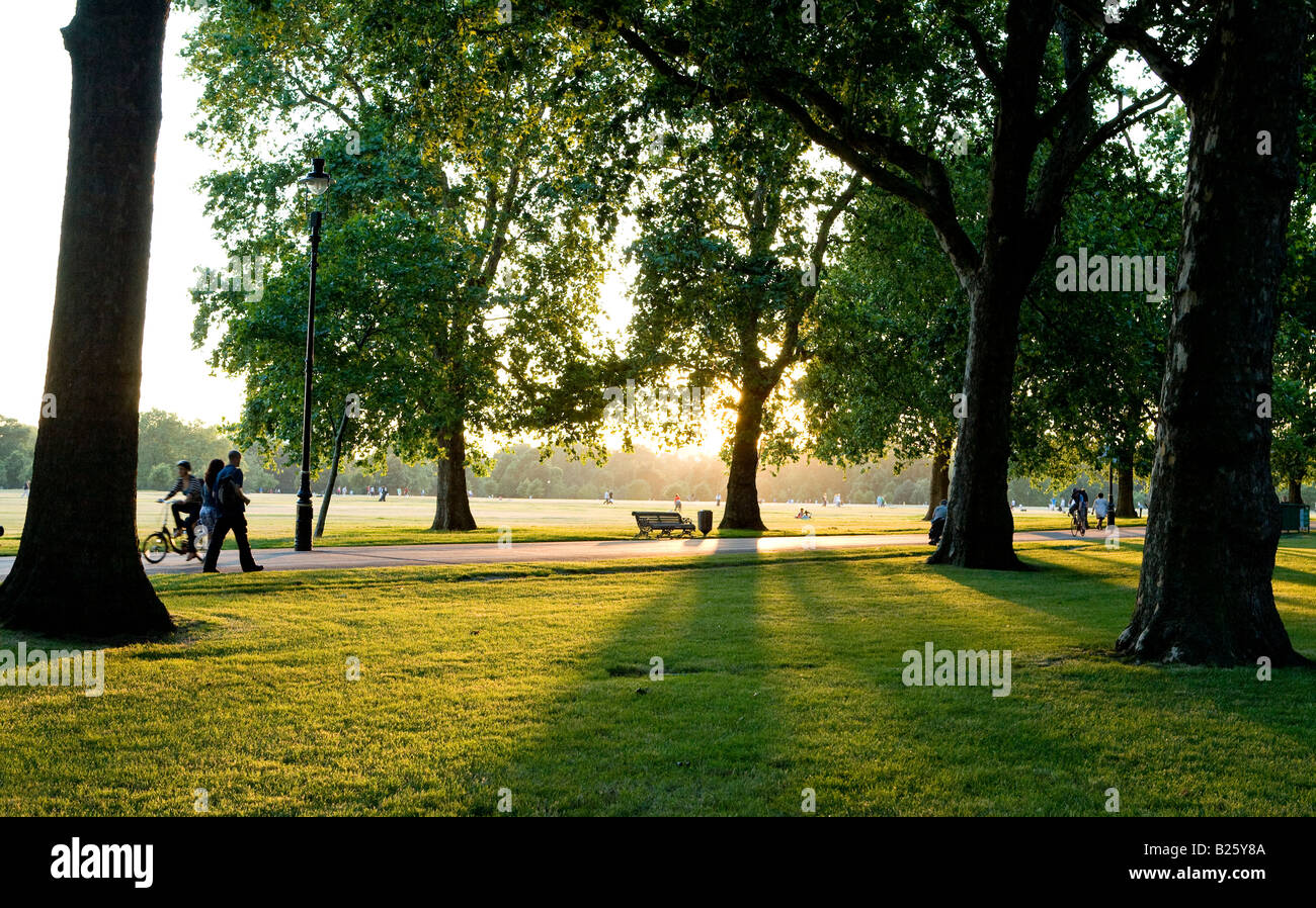 Summer Evening In Hyde Park London UK Europe Stock Photo