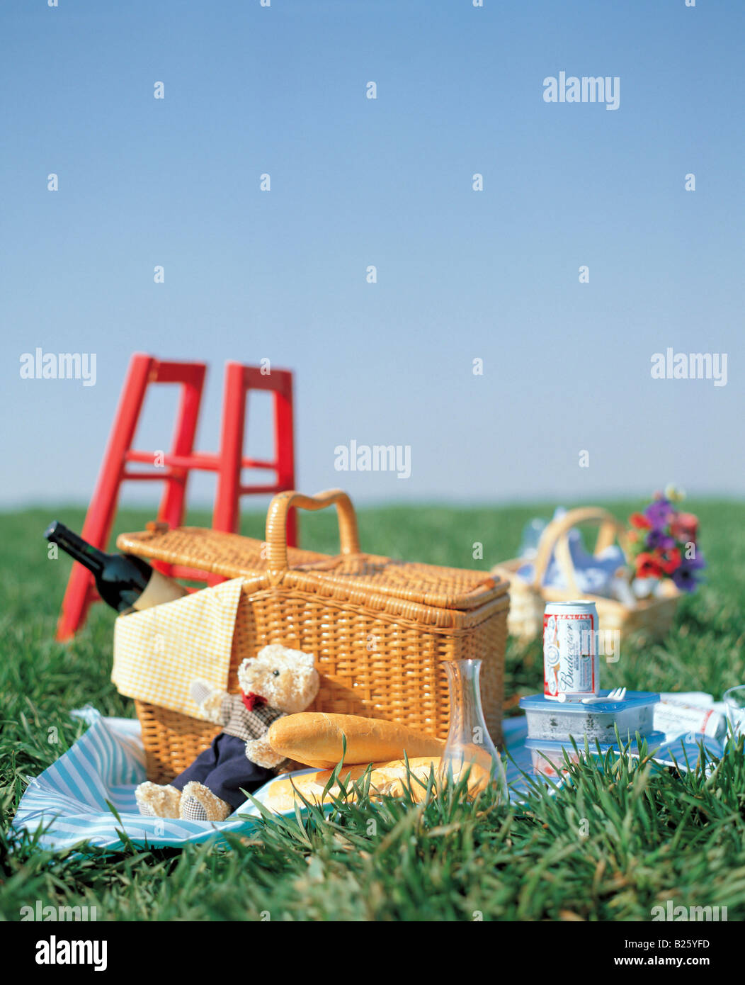 Picnic basket in the park Stock Photo Alamy
