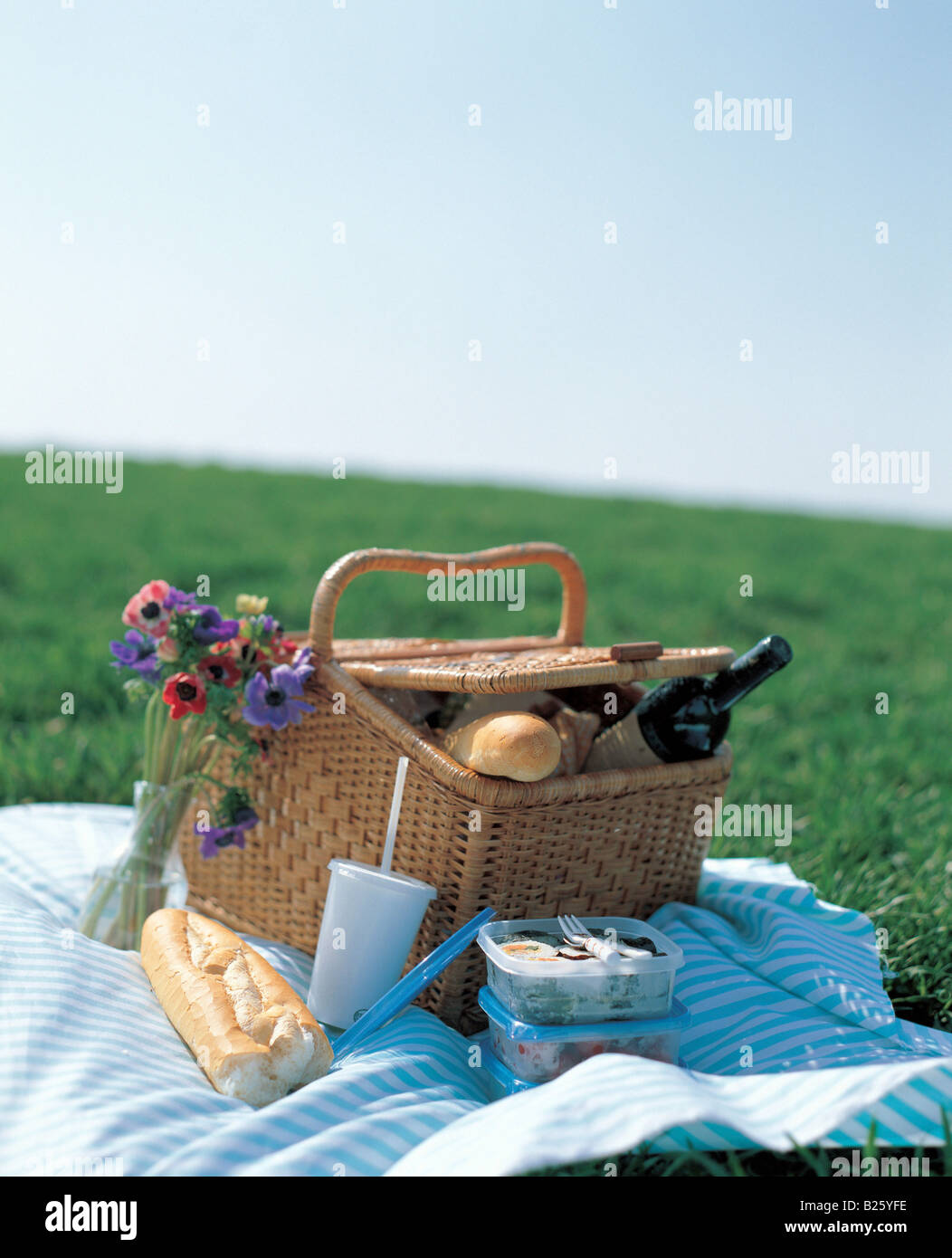 Picnic basket in the park Stock Photo Alamy
