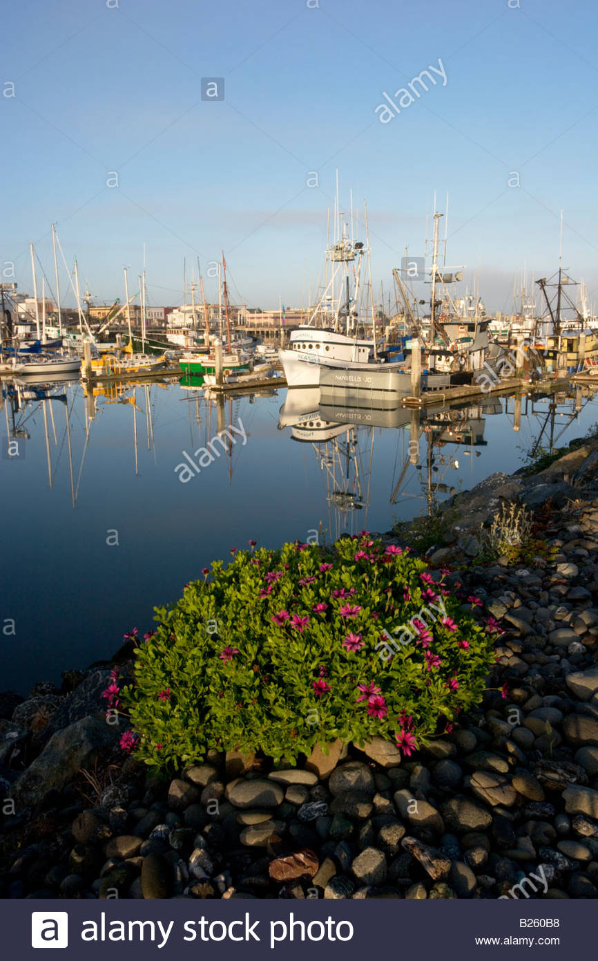 Eureka California High Resolution Stock Photography and Images - Alamy