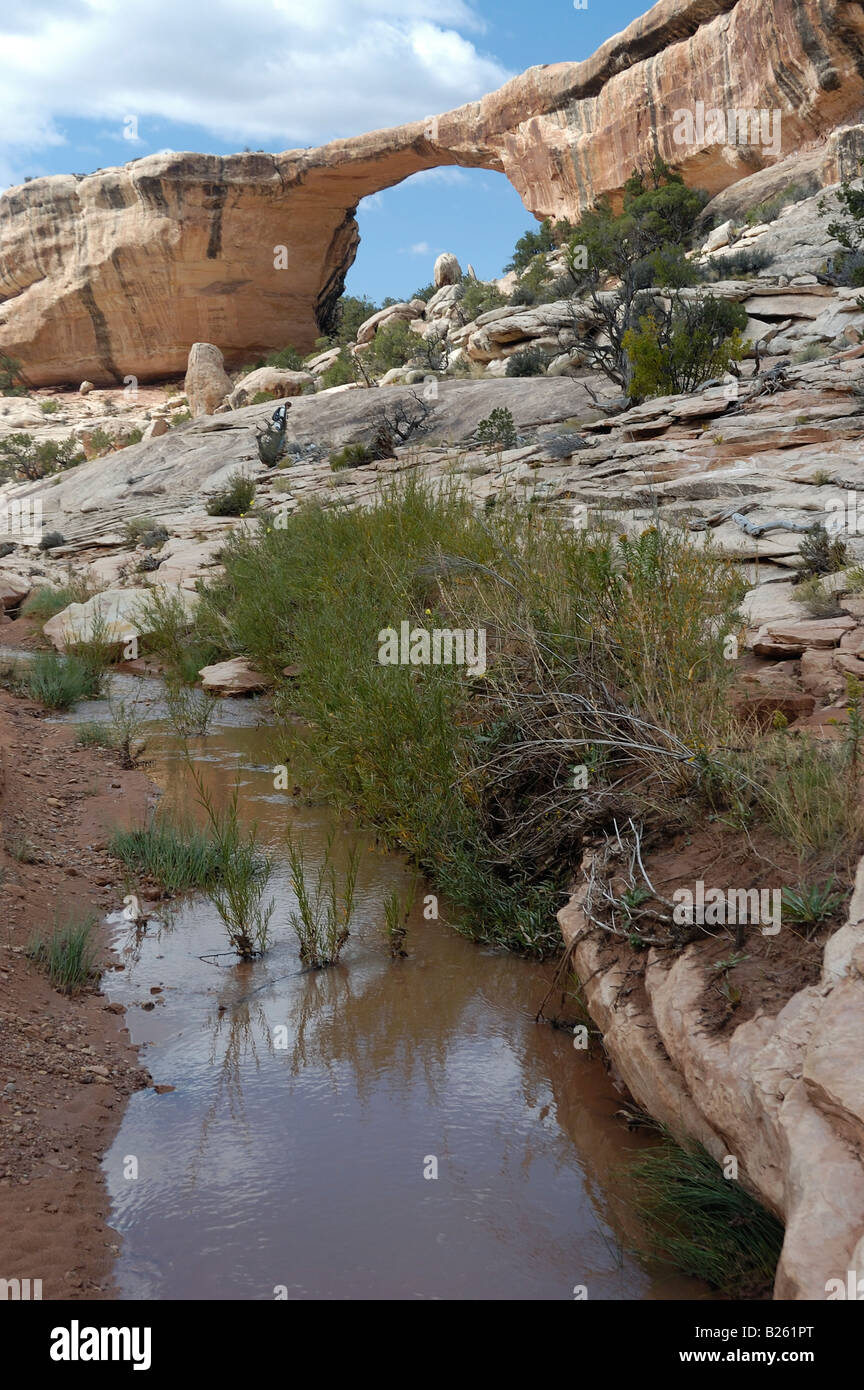 Owachomo Bridge Natural Bridges National Monument UT 050929 2839 Stock