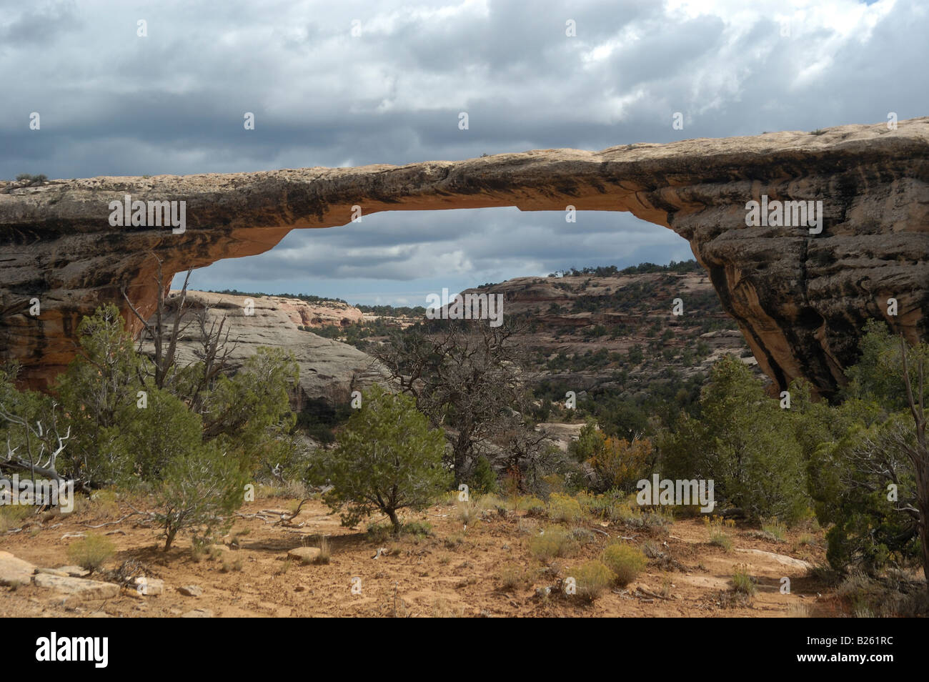 Owachomo Bridge Natural Bridges National Monument UT 050929 2848 Stock