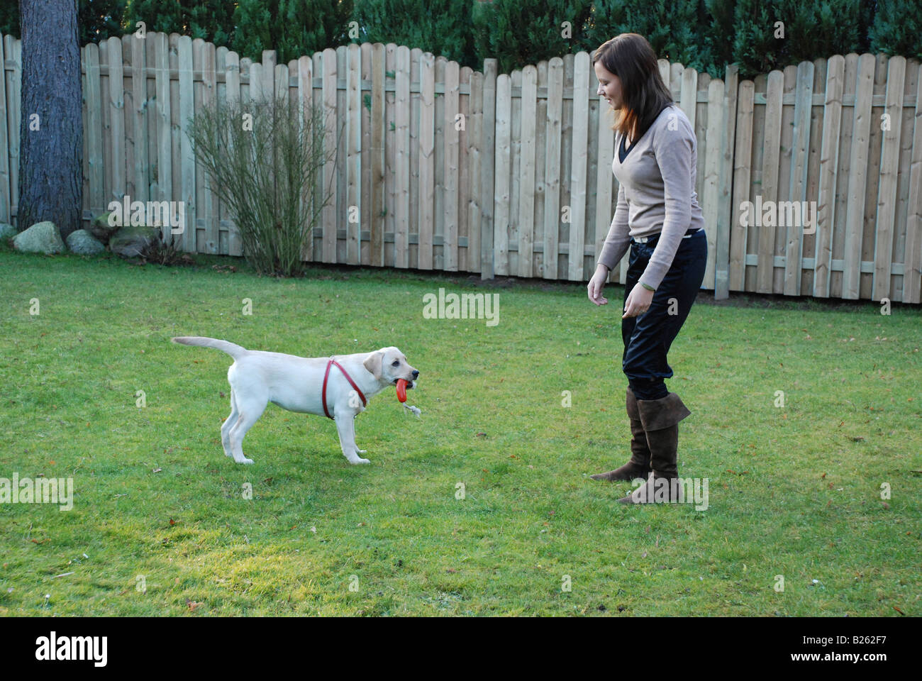 The girl playing with the dog in the garden Stock Photo - Alamy