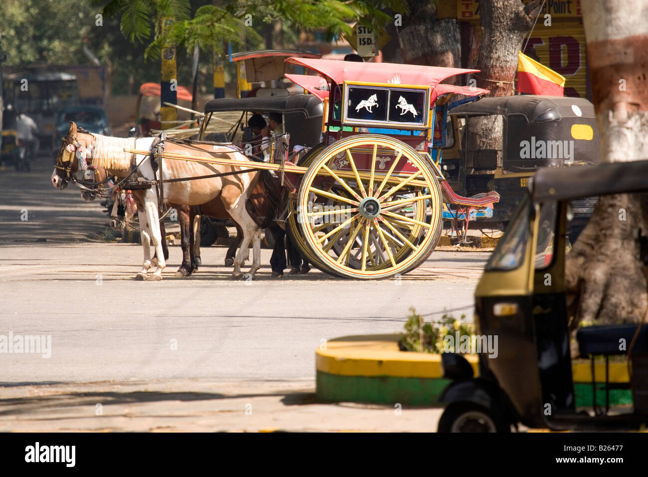 A horse drawn cart known as a tonga in Mysore. The vehicles are still a popular method of