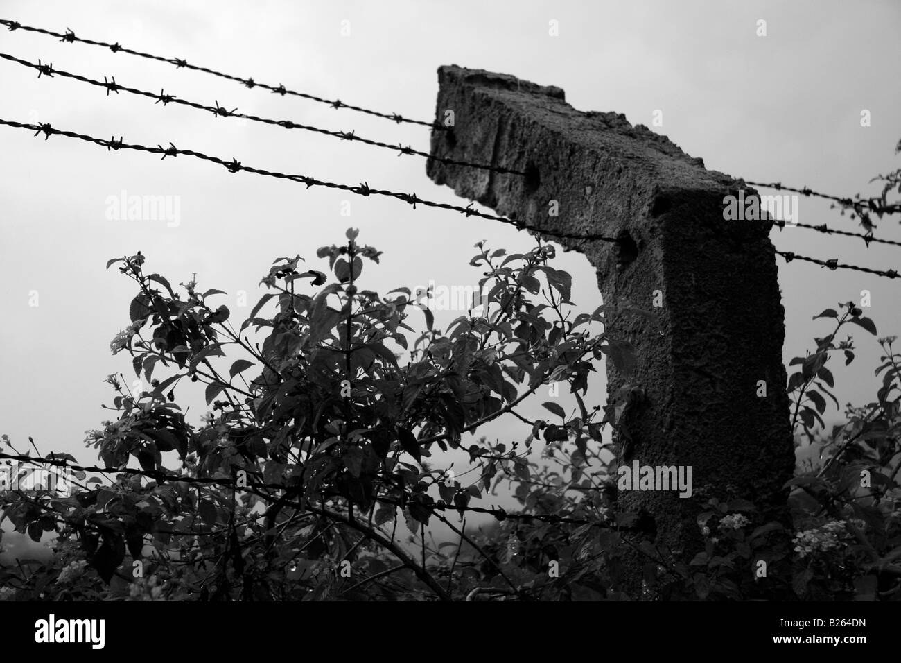 Concrete fence post barbed wire Black and White Stock Photos & Images ...
