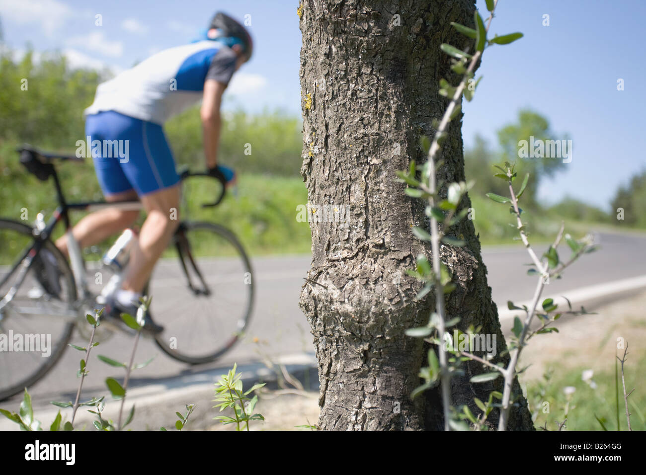 Cyclist cycling on road with tree bark in the foreground Stock Photo