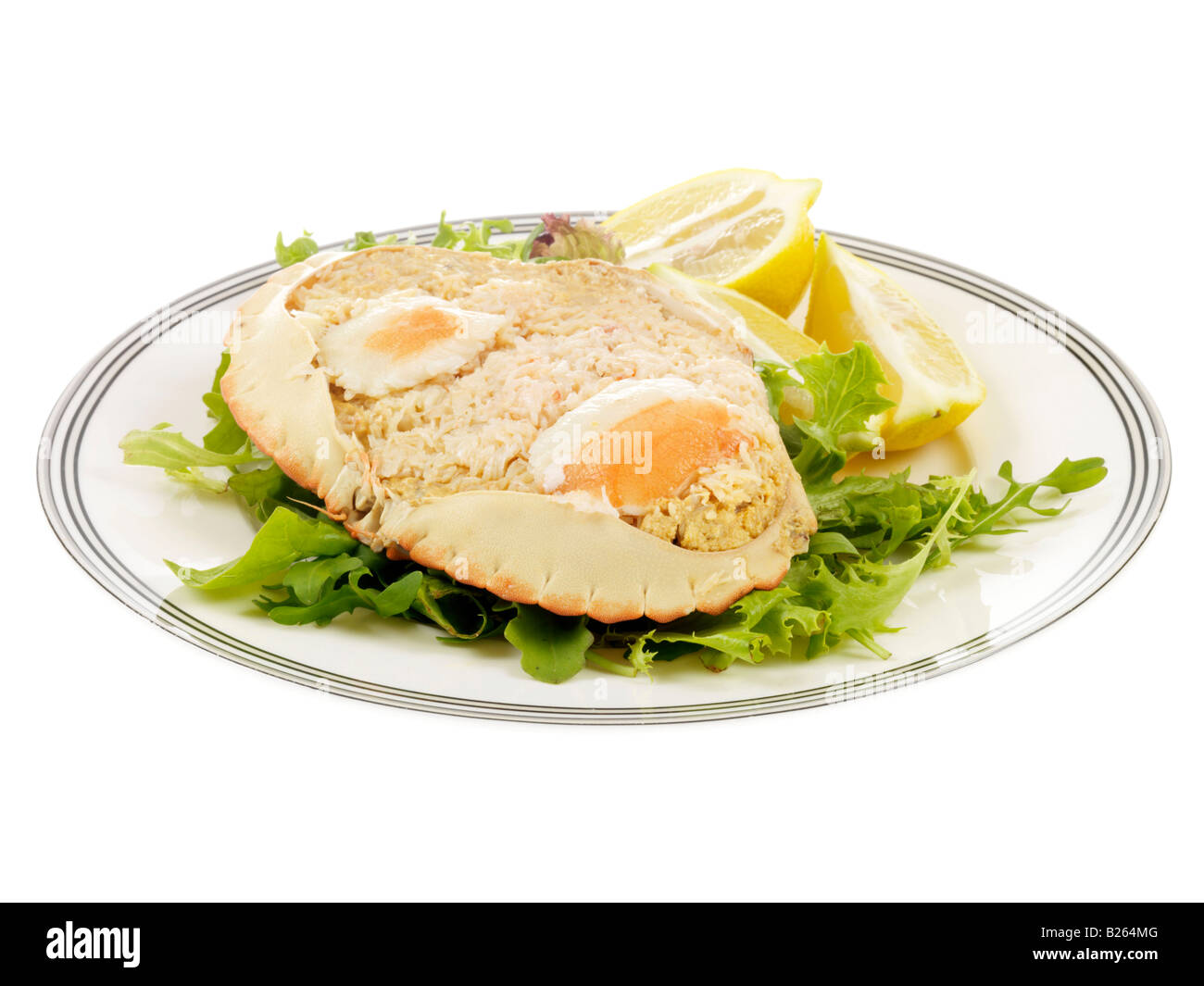 Cromer Crab Stock Photo - Alamy