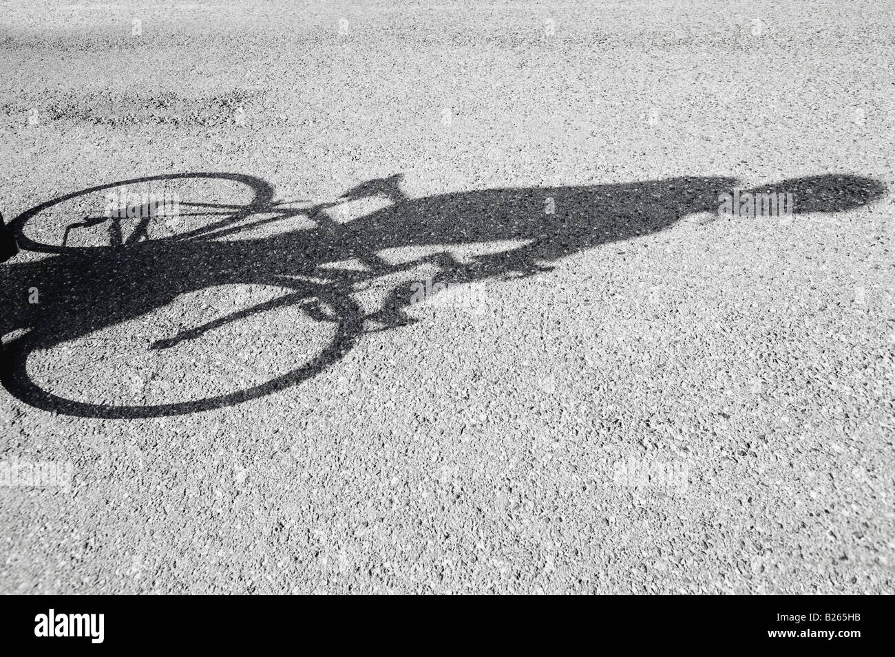 Shadow of a bicyclist casting on road Stock Photo