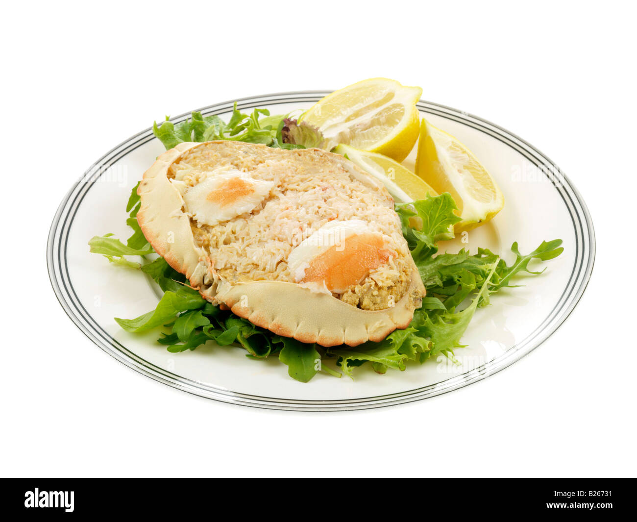 Dressed crab in shell Cut Out Stock Images & Pictures - Alamy