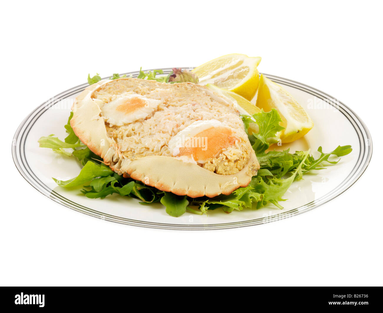 Fresh Healthy Dressed Crab Meat, Served In Its Shell, With No People, Isolated On White Stock