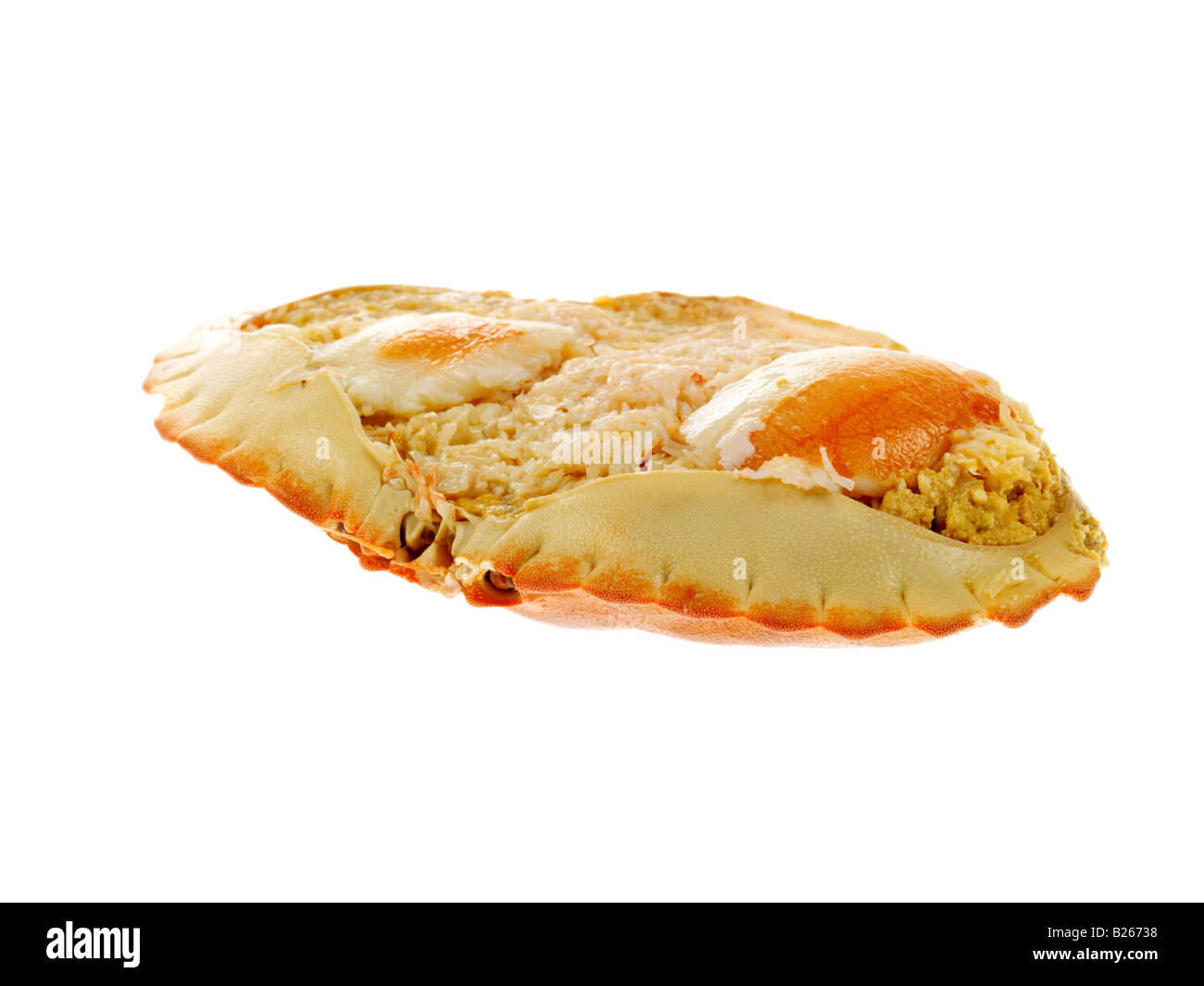Dressed crab shell hi-res stock photography and images - Alamy