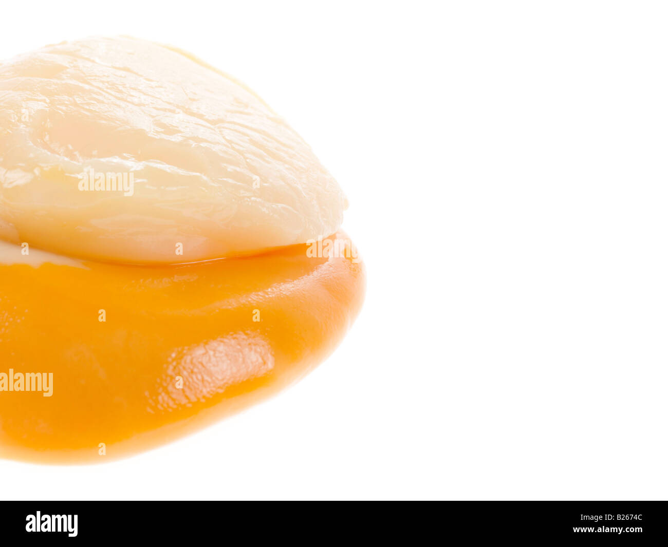 Scallops Shell Out Eating out scallops hi-res stock photography and images - Alamy