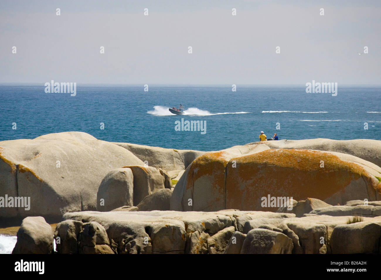 A Couple Sitting On Rocks At Sandy Bay Beach Cape Town South Stock Photo Alamy