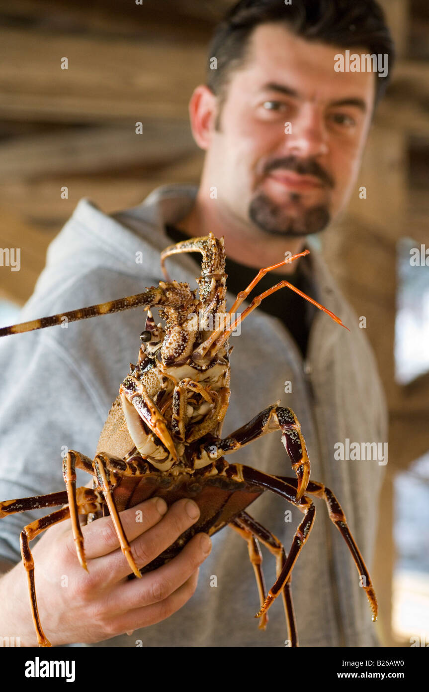 Man holding a lobster, langouste in his hand, Reataurant, Komiza