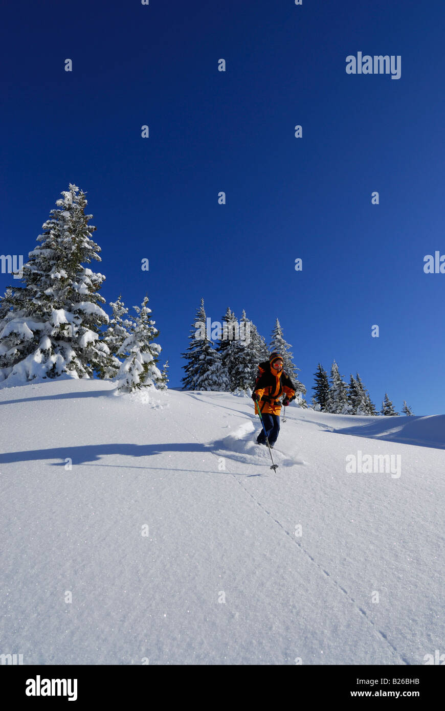 Skier skiing downhill, Feuerstaetter Kopf, Allgaeu Alps, Vorarlberg, Austria Stock Photo