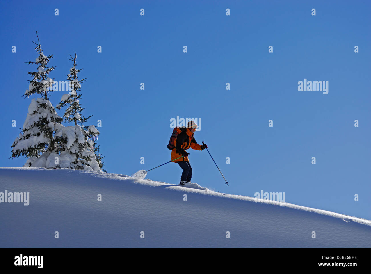 Skier skiing downhill, Feuerstaetter Kopf, Allgaeu Alps, Vorarlberg, Austria Stock Photo