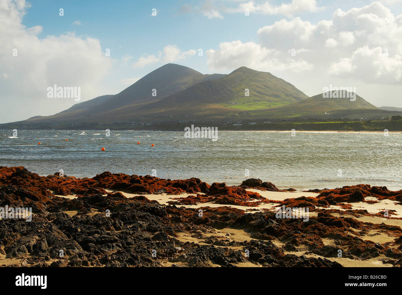 outdoor photo, view from Old Head (near Louisburgh) to Croagh Patrick, County Mayo, Ireland, Europe Stock Photo