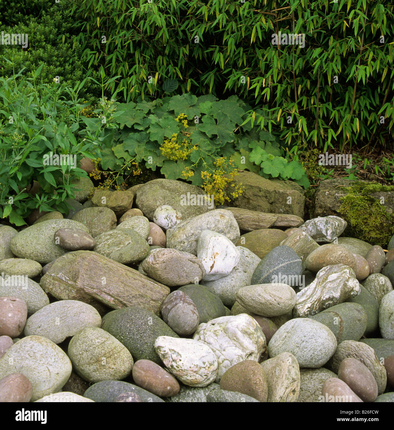 large pebbles as decorative mulch Stock Photo Alamy