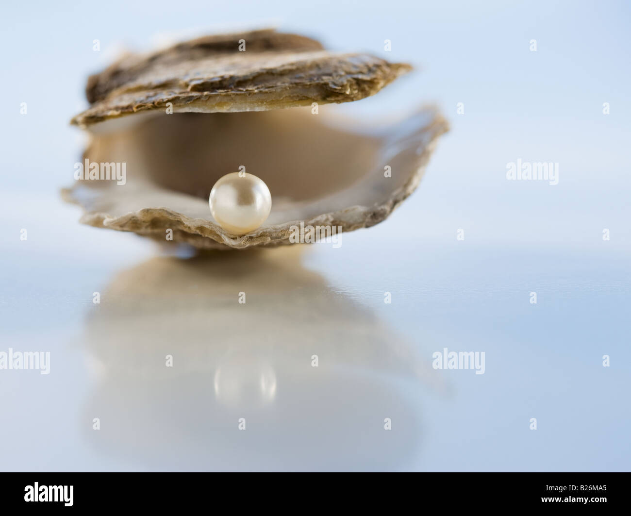 Close up of pearl in oyster shell Stock Photo