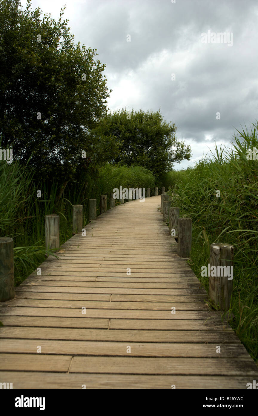 Pathway that leads to the Omaha beach where the D-Day landings took places on June 6th 1944. Stock Photo